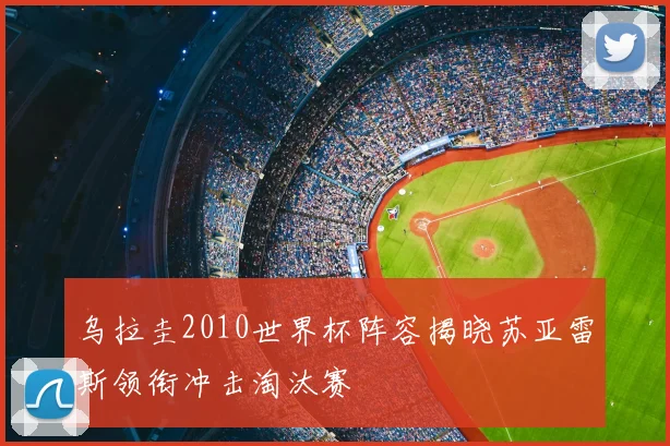 乌拉圭2010世界杯阵容揭晓苏亚雷斯领衔冲击淘汰赛