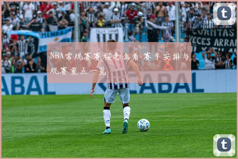 NBA常规赛赛程怎么看 赛季安排与观赛重点一览