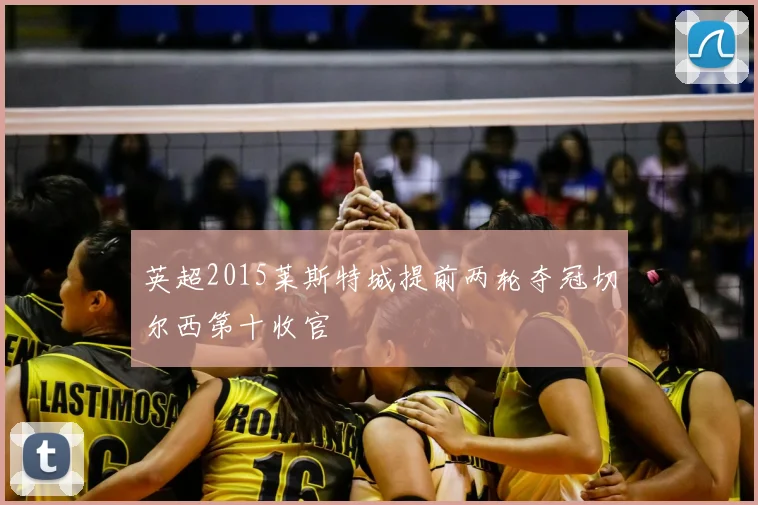 英超2015莱斯特城提前两轮夺冠切尔西第十收官